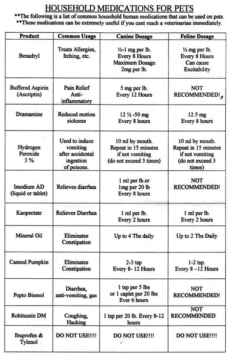 Common Medications You May Be Considering For Your Dog.
